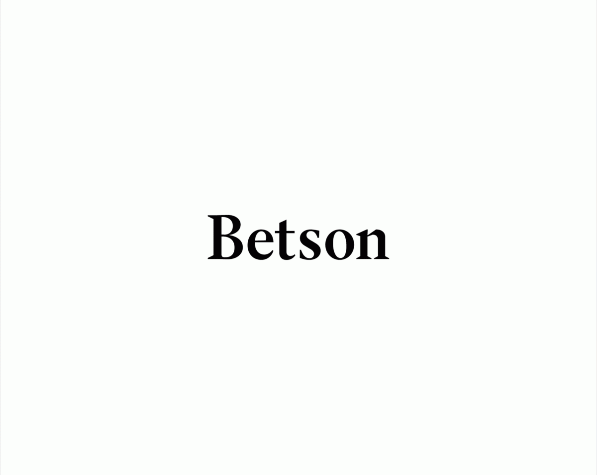 Betson男士配飾企業(yè)品牌vi設(shè)計和品牌包裝形象設(shè)計案例，vi設(shè)計，企業(yè)形象vi設(shè)計，企業(yè)品牌vi設(shè)計，配飾vi設(shè)計，品牌視覺形象設(shè)計，企業(yè)vi設(shè)計，深圳品牌策劃，深圳vi設(shè)計，左右格局